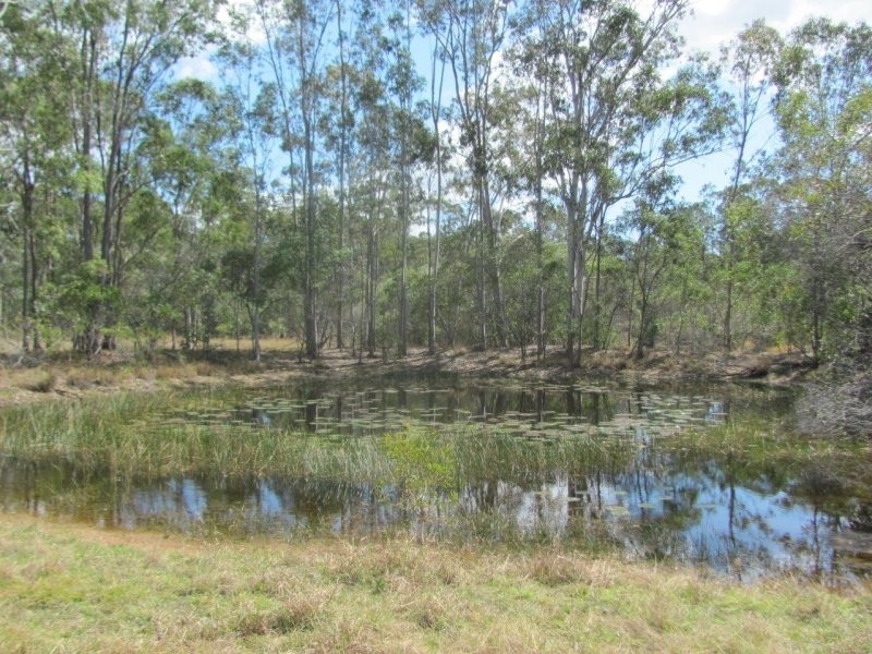 211 Coast Road, Baffle Creek QLD 4674