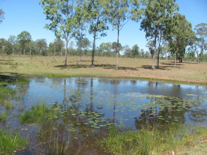 493 Cross Road, Euleilah QLD 4674