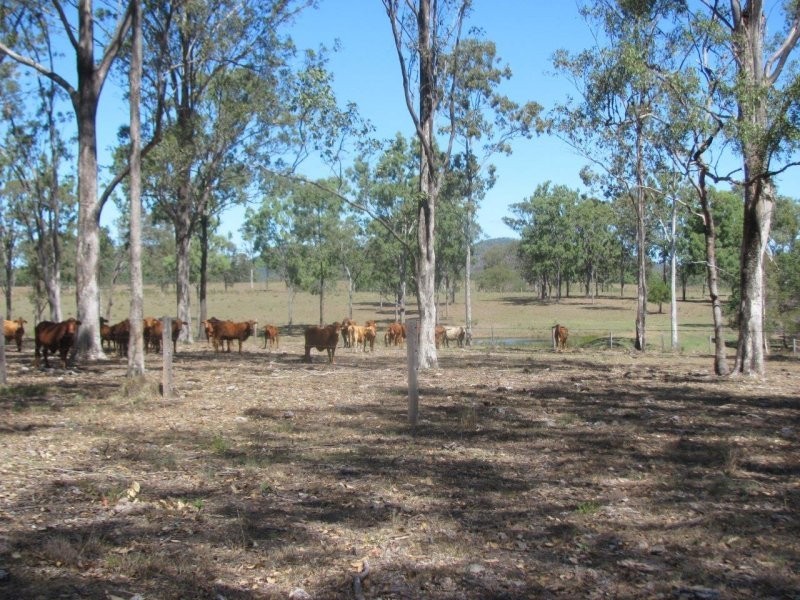 493 Cross Road, Euleilah QLD 4674