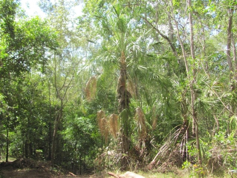 Lot 87 Mitchell Road, Mount Maria QLD 4674