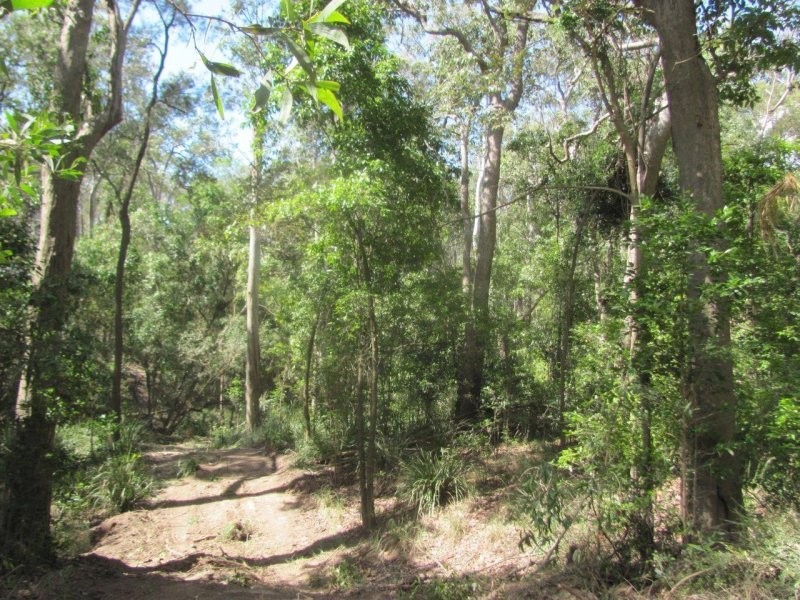 Lot 87 Mitchell Road, Mount Maria QLD 4674