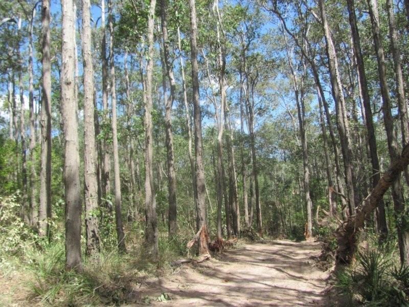 Lot 87 Mitchell Road, Mount Maria QLD 4674