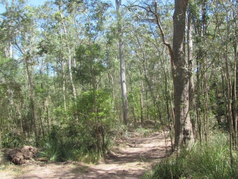 Lot 87 Mitchell Road, Mount Maria QLD 4674