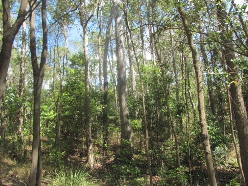 Lot 87 Mitchell Road, Mount Maria QLD 4674