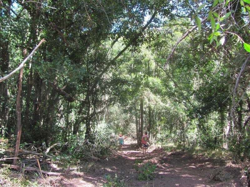 Lot 87 Mitchell Road, Mount Maria QLD 4674