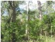 Lot 87 Mitchell Road, Mount Maria QLD 4674