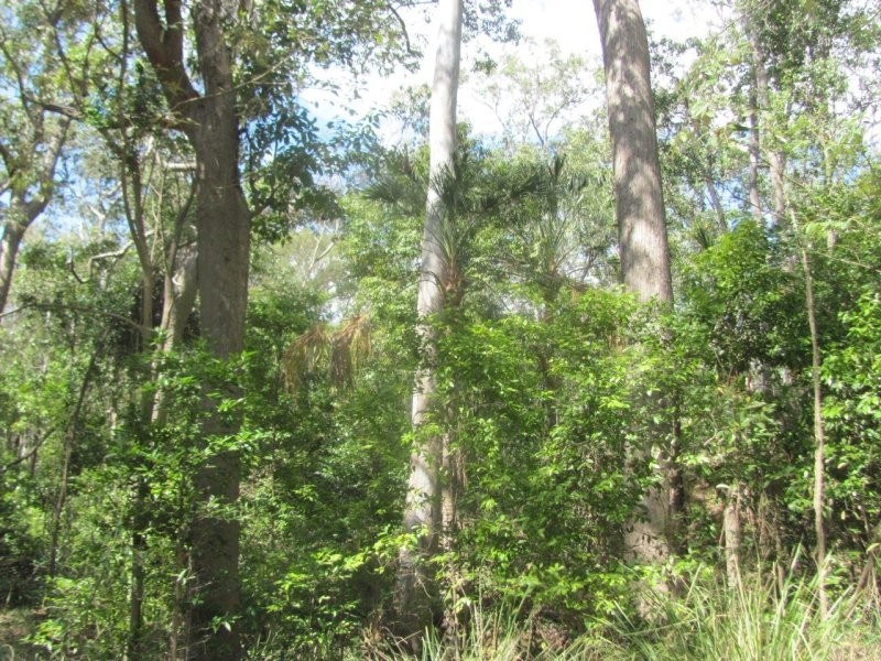 Lot 87 Mitchell Road, Mount Maria QLD 4674