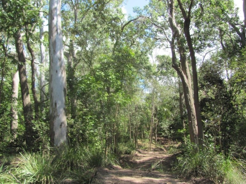 Lot 87 Mitchell Road, Mount Maria QLD 4674