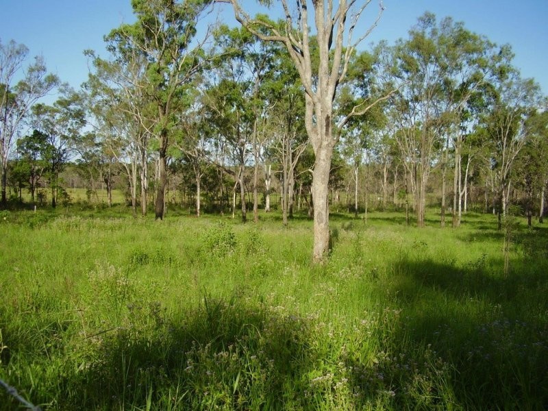 437 Taunton Road, Euleilah QLD 4674