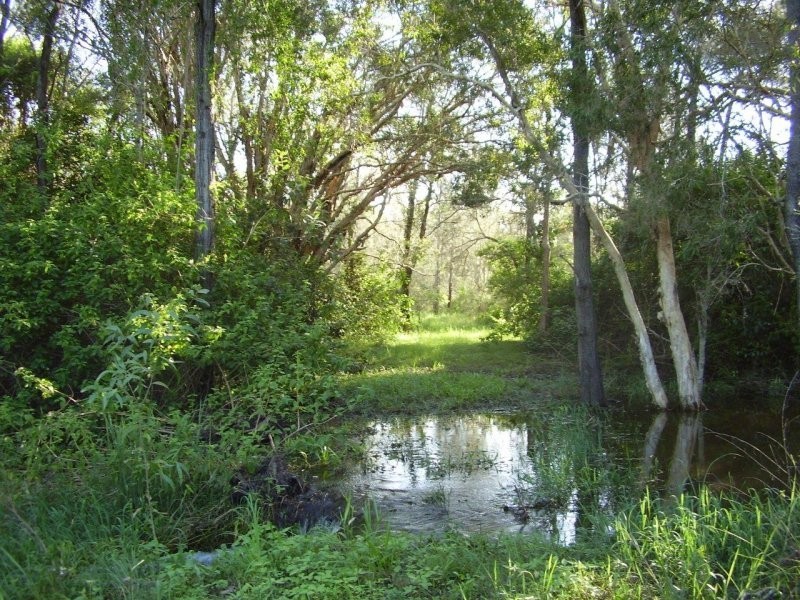 437 Taunton Road, Euleilah QLD 4674