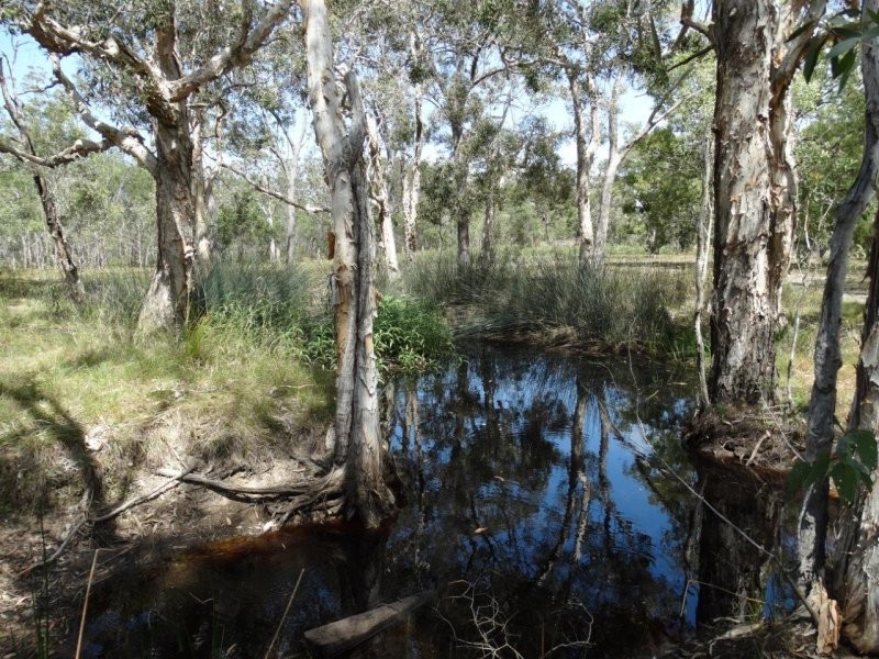 252 Matchbox Road, Deepwater QLD 4674