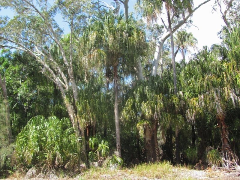 Lot 69 Fingerfield Road, Rules Beach QLD 4674