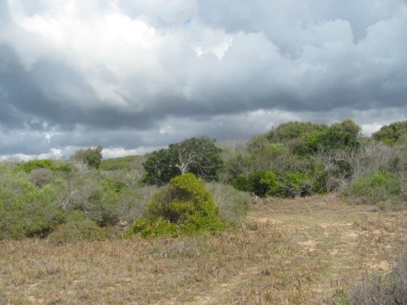 Lot 69 Fingerfield Road, Rules Beach QLD 4674