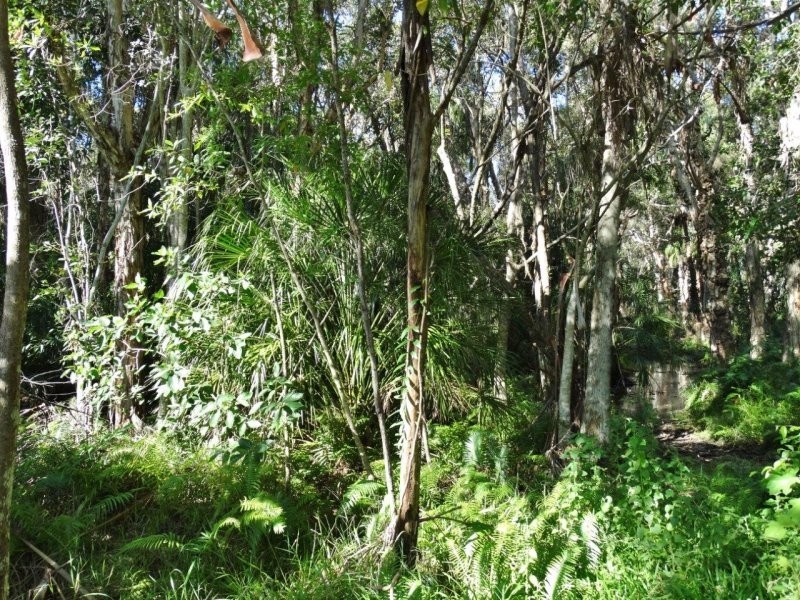 Lot 69 Fingerfield Road, Rules Beach QLD 4674