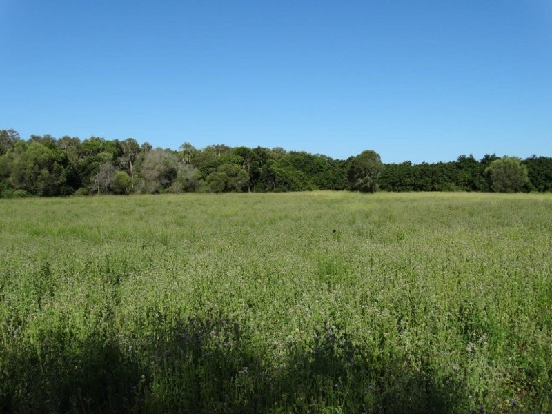 Lot 69 Fingerfield Road, Rules Beach QLD 4674