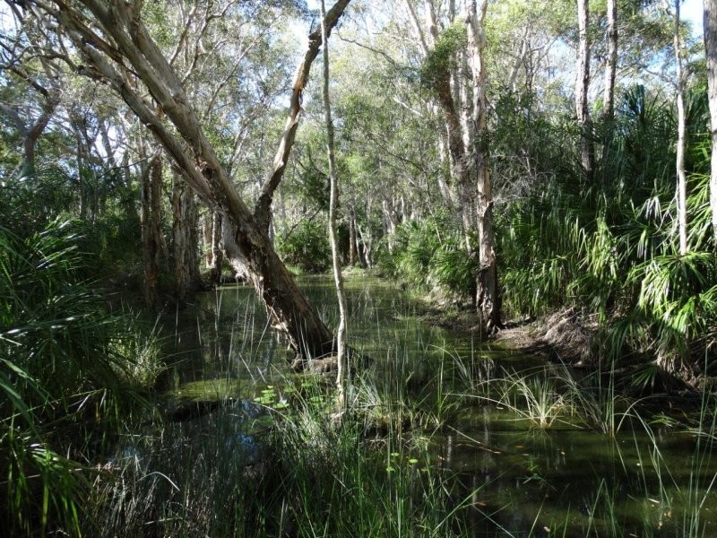 Lot 69 Fingerfield Road, Rules Beach QLD 4674