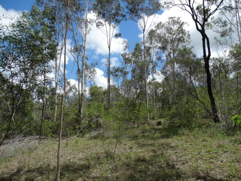 755 Hills Road, Mount Maria QLD 4674