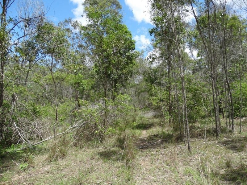 755 Hills Road, Mount Maria QLD 4674