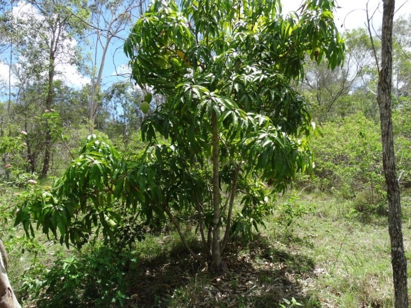 755 Hills Road, Mount Maria QLD 4674