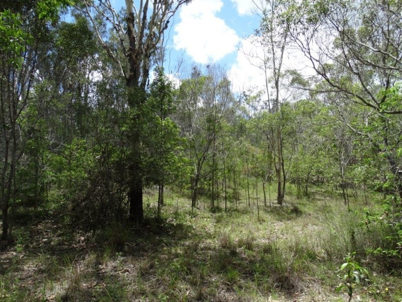 755 Hills Road, Mount Maria QLD 4674