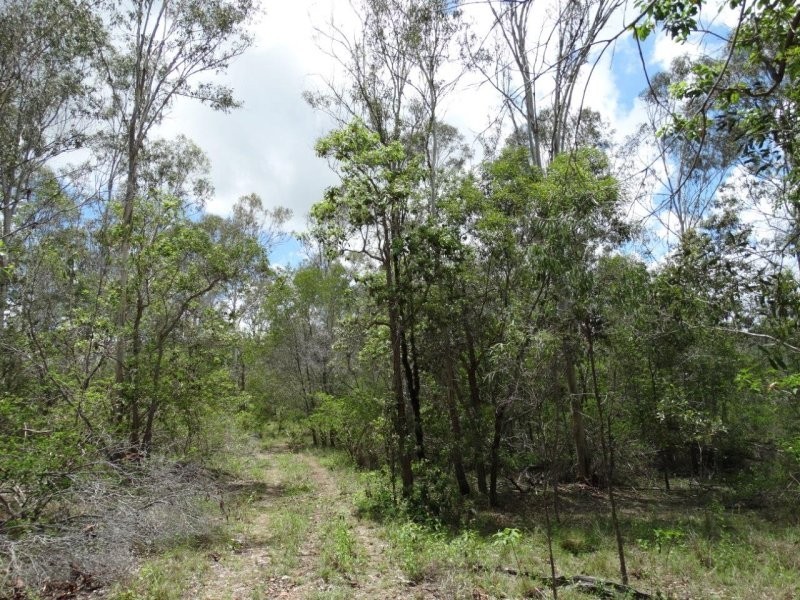 755 Hills Road, Mount Maria QLD 4674