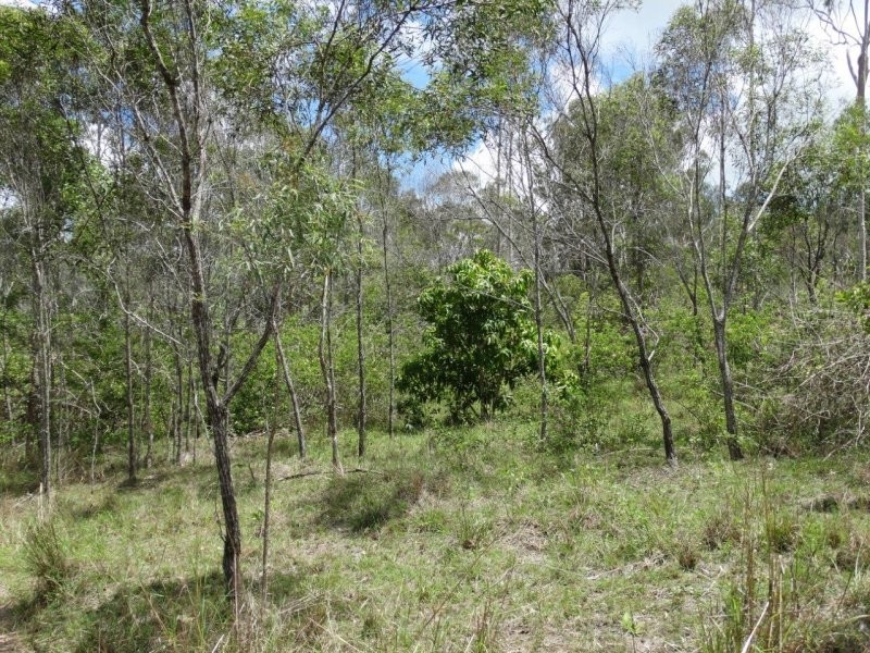 755 Hills Road, Mount Maria QLD 4674