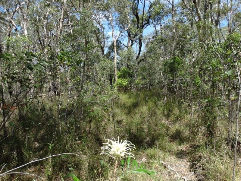 Lot 33 Matchbox Road, Deepwater QLD 4674