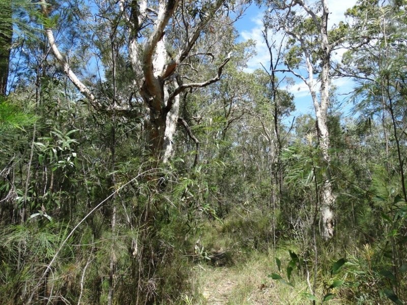 Lot 33 Matchbox Road, Deepwater QLD 4674