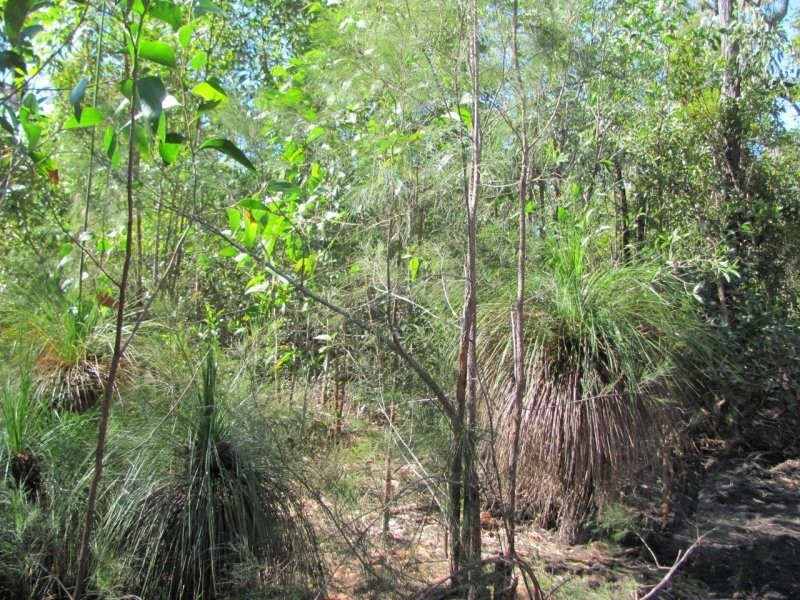 Lot 33 Matchbox Road, Deepwater QLD 4674