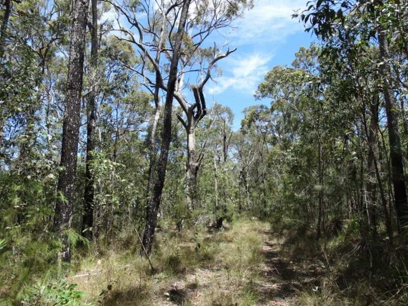 Lot 33 Matchbox Road, Deepwater QLD 4674