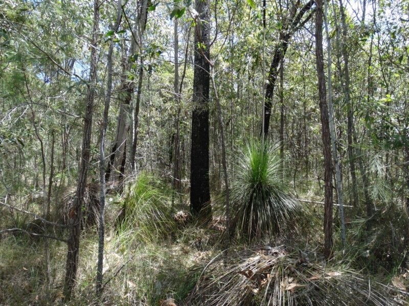 Lot 33 Matchbox Road, Deepwater QLD 4674