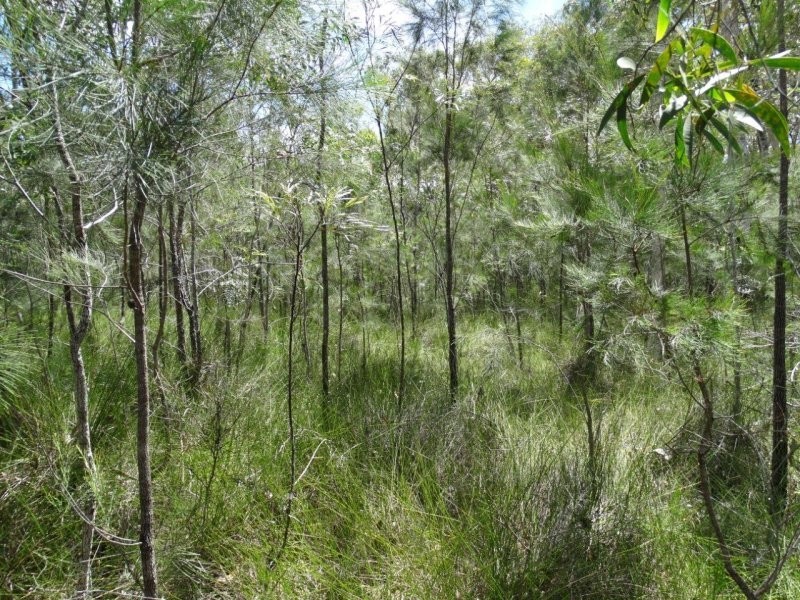 Lot 33 Matchbox Road, Deepwater QLD 4674