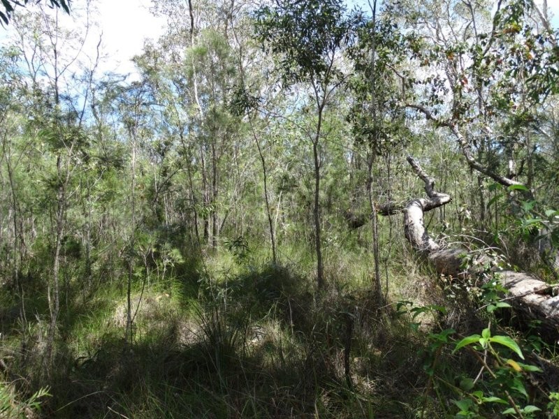 Lot 33 Matchbox Road, Deepwater QLD 4674