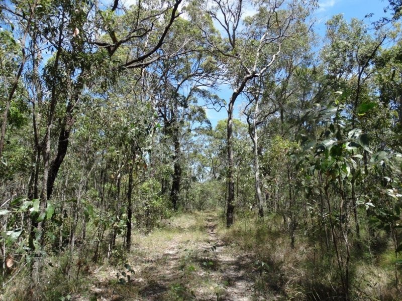 Lot 33 Matchbox Road, Deepwater QLD 4674