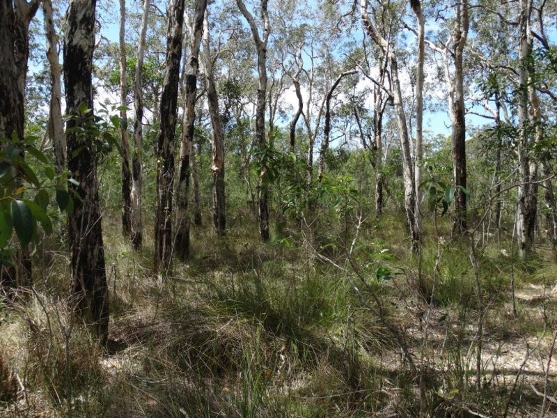 Lot 33 Matchbox Road, Deepwater QLD 4674