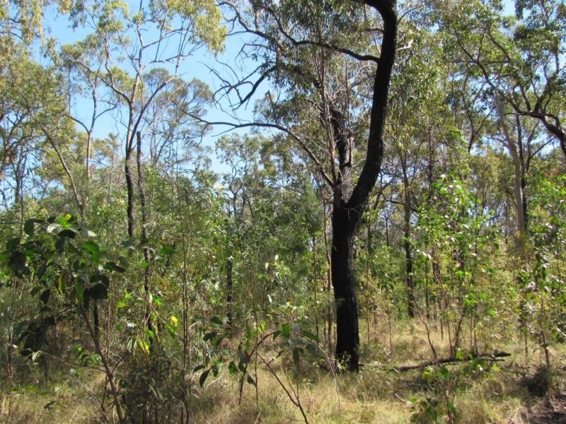 Lot 33 Matchbox Road, Deepwater QLD 4674