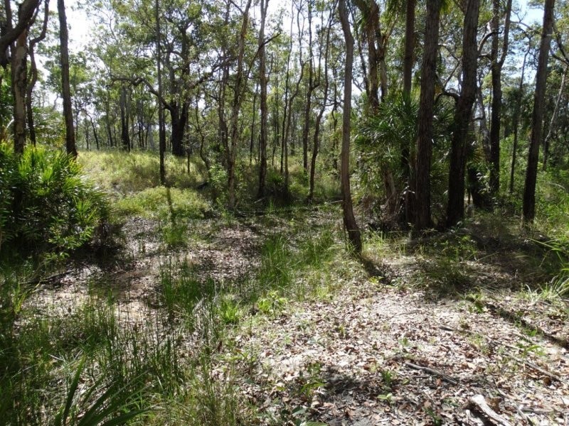 274 Mitchell Road, Mount Maria QLD 4674