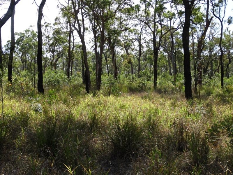 274 Mitchell Road, Mount Maria QLD 4674