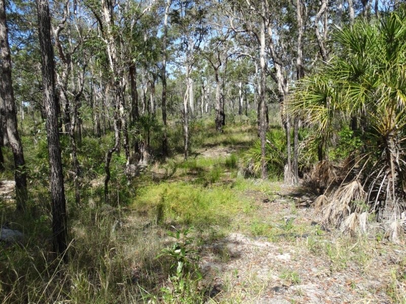 274 Mitchell Road, Mount Maria QLD 4674