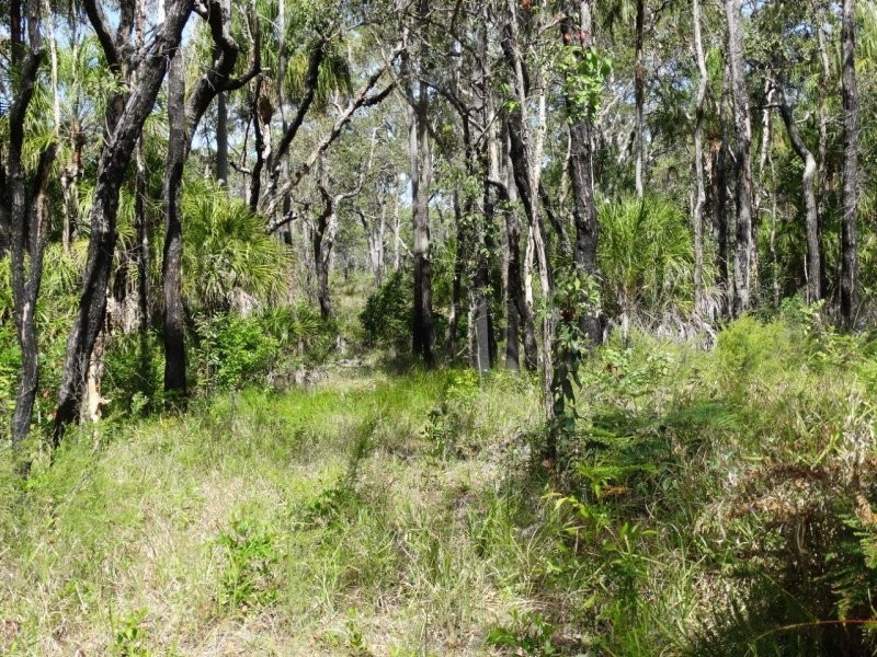 274 Mitchell Road, Mount Maria QLD 4674