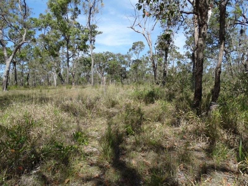 274 Mitchell Road, Mount Maria QLD 4674
