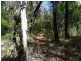 274 Mitchell Road, Mount Maria QLD 4674