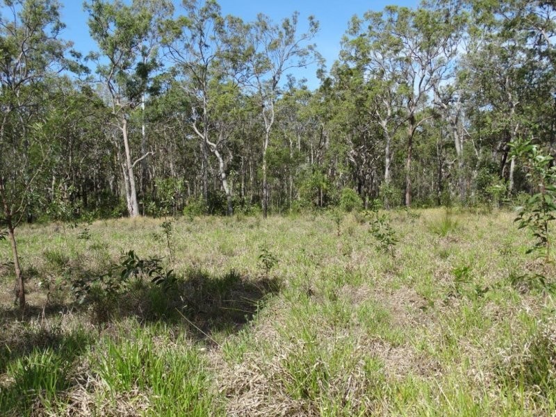 274 Mitchell Road, Mount Maria QLD 4674