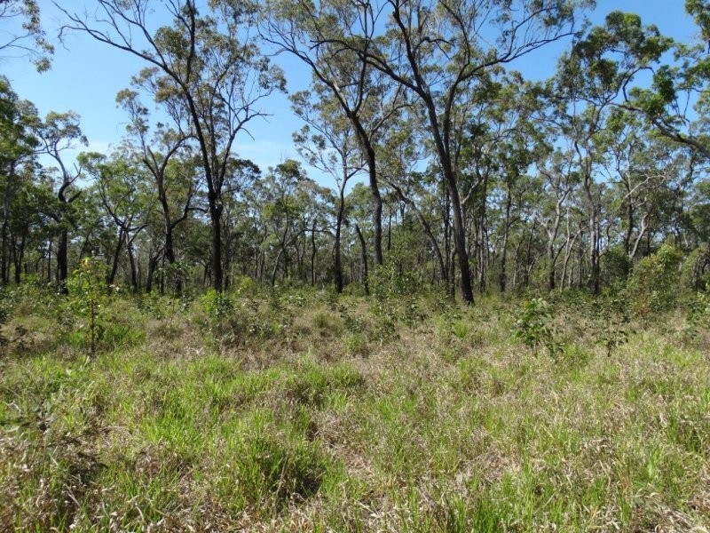 274 Mitchell Road, Mount Maria QLD 4674