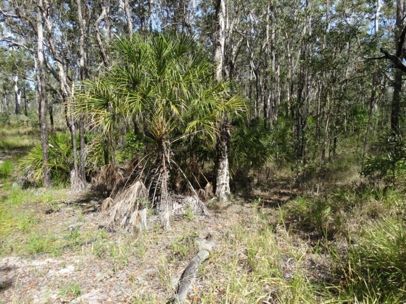 274 Mitchell Road, Mount Maria QLD 4674