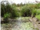 52 Ferry Road, Rosedale QLD 4674