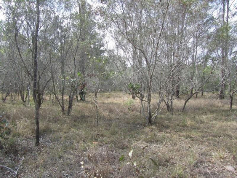 Lot 38 Bucca Road, Bucca QLD 4670