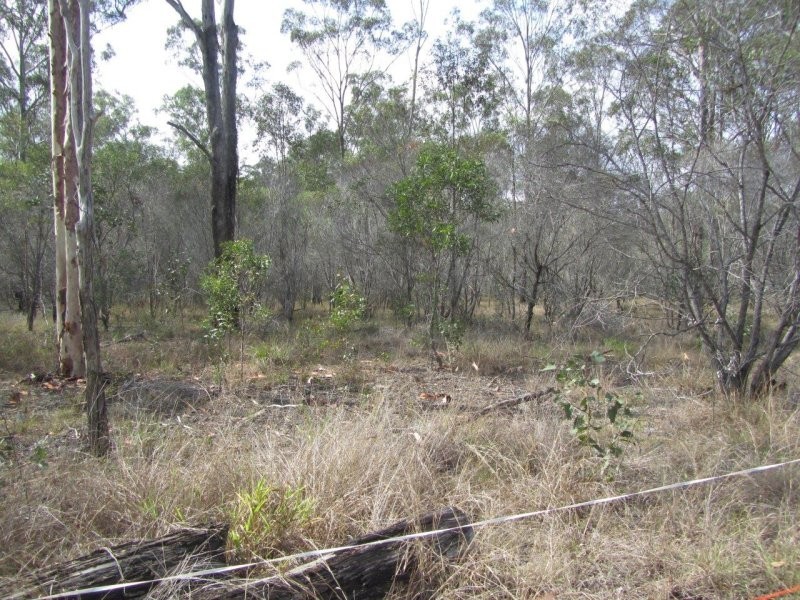 Lot 38 Bucca Road, Bucca QLD 4670