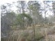 Lot 38 Bucca Road, Bucca QLD 4670