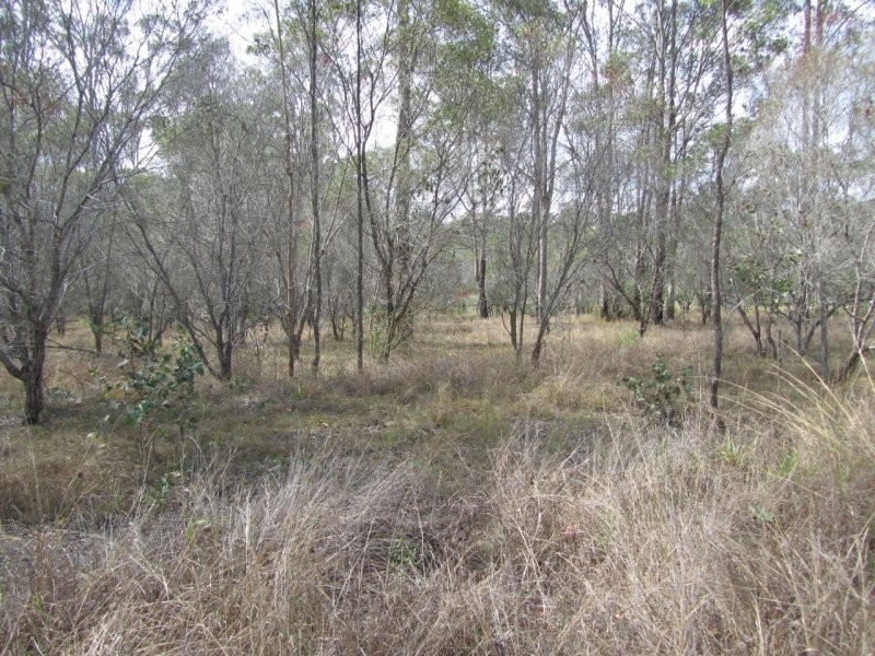 Lot 38 Bucca Road, Bucca QLD 4670